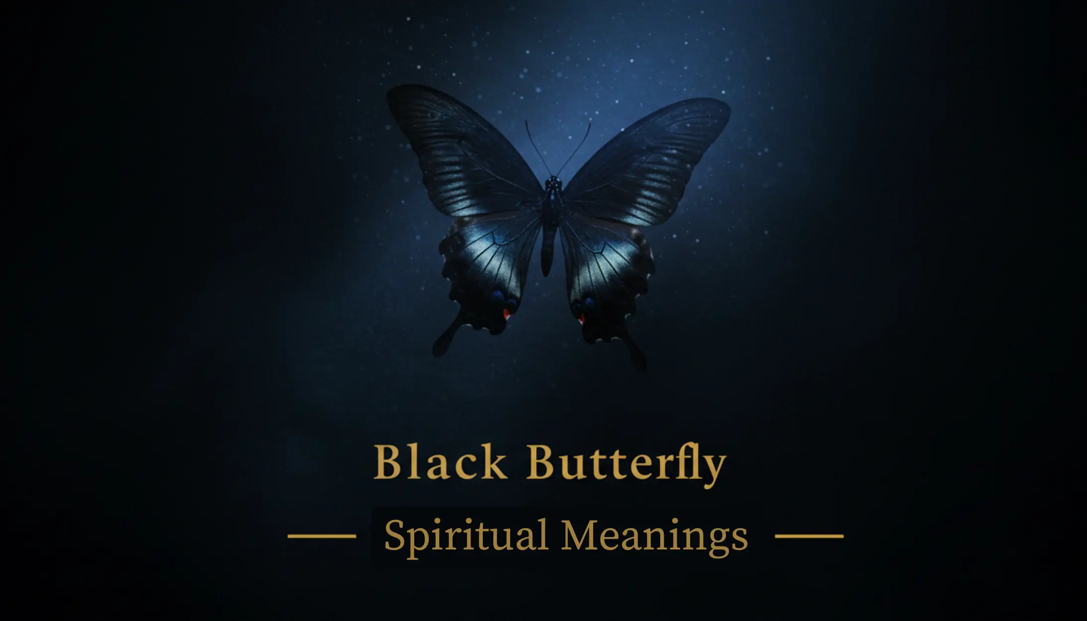 Black butterfly spiritual meanings