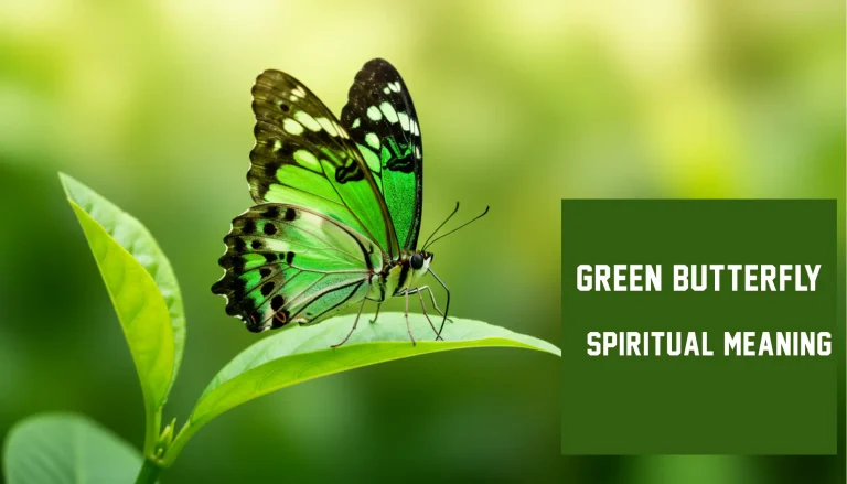 Green butterfly spiritual meanings