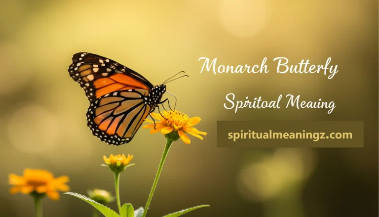 Monarch butterfly spiritual meanings