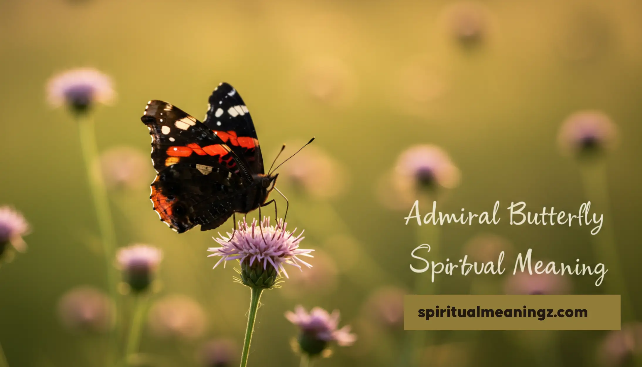 admiral butterfly spiritual meanings