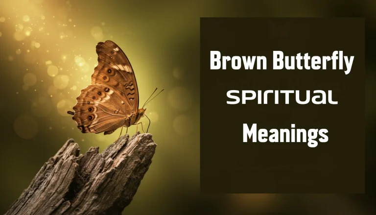 brown butterfly spiritual meanings