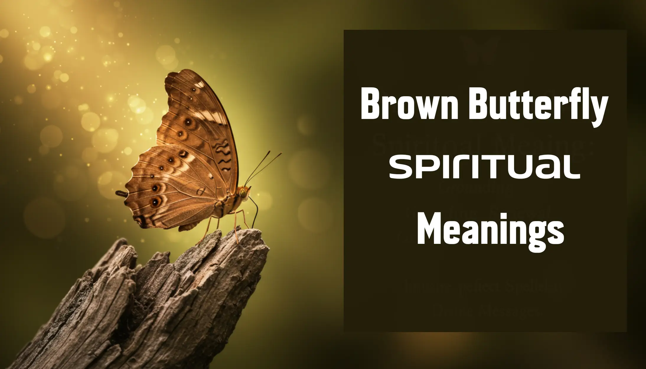 brown butterfly spiritual meanings